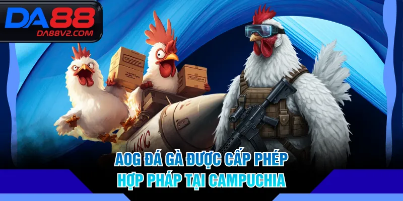 AOG Đá Gà được cấp phép hợp pháp tại Campuchia