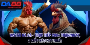 WS168 Đá Gà